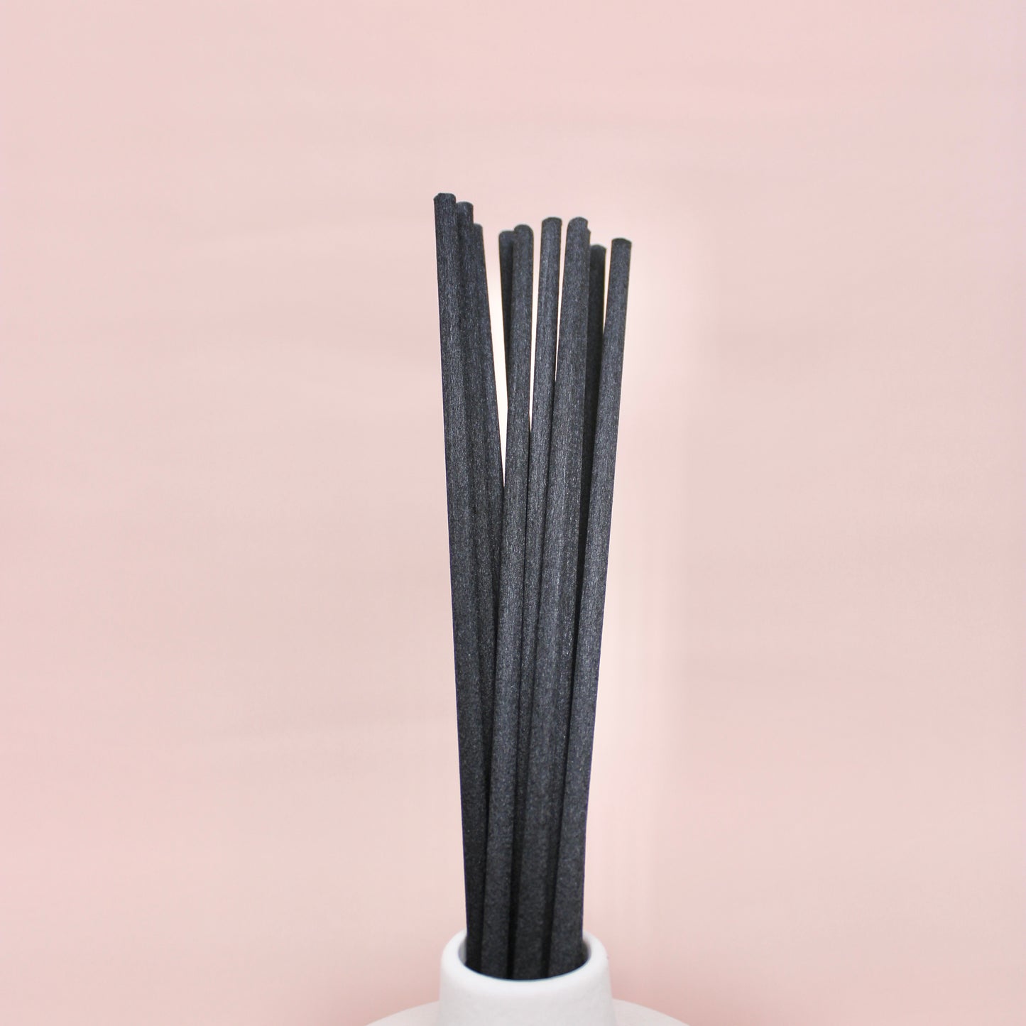 Reed Stick 10-Piece Bundle