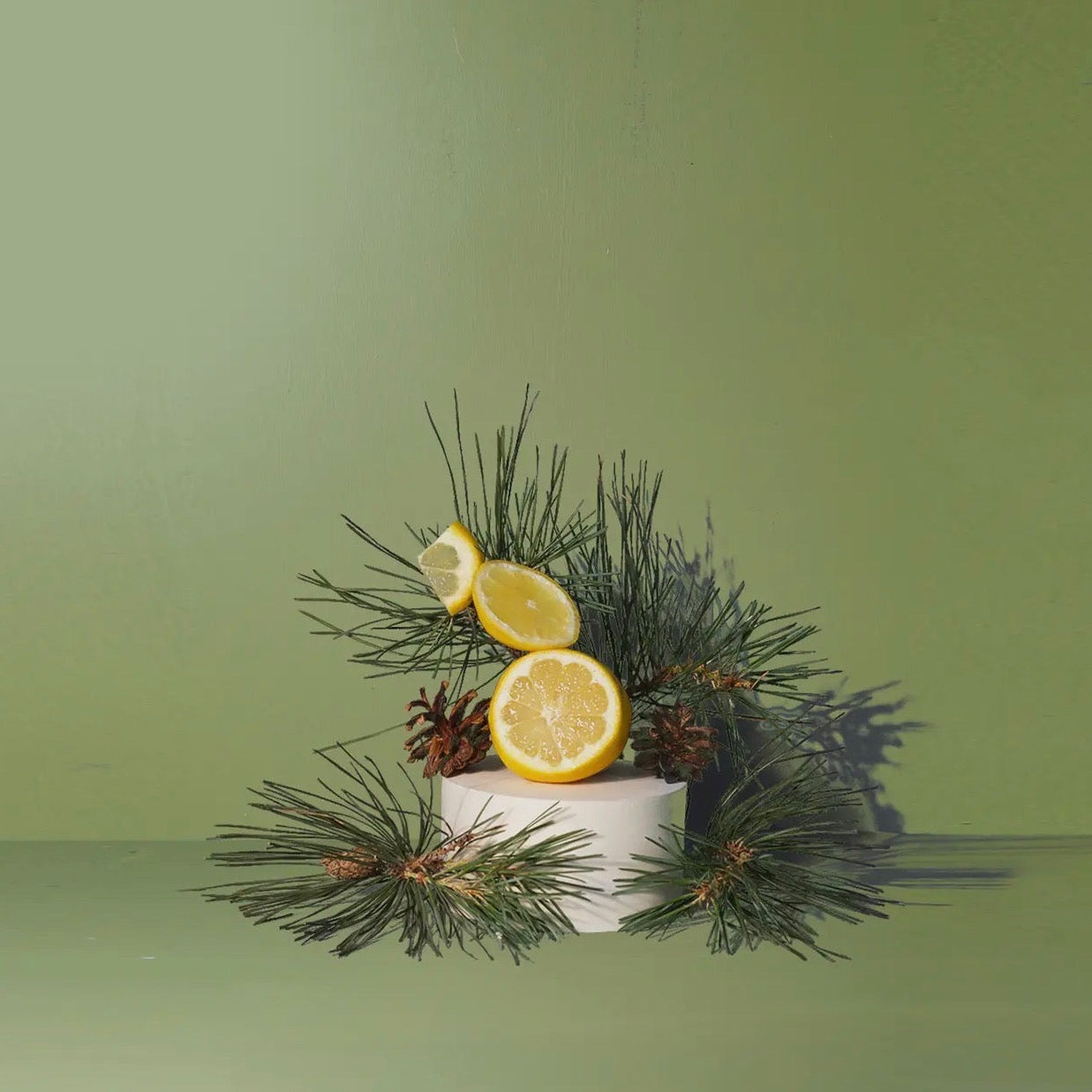 Fir Needle Hand + Body Wash
