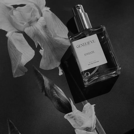 Amante Eau De Parfum | Lavender Ylang