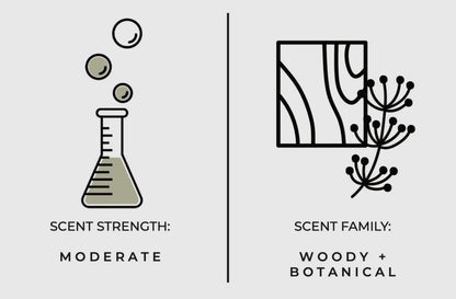 Santal Hand + Body Wash