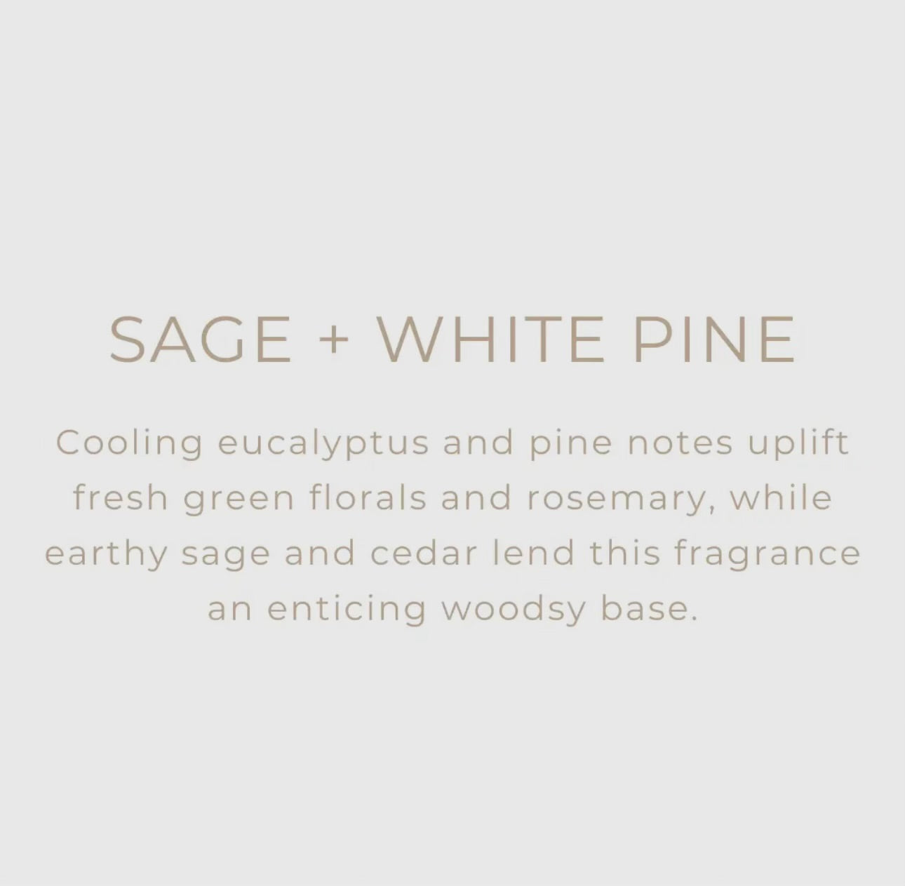 Room Spray | Sage + White Pine